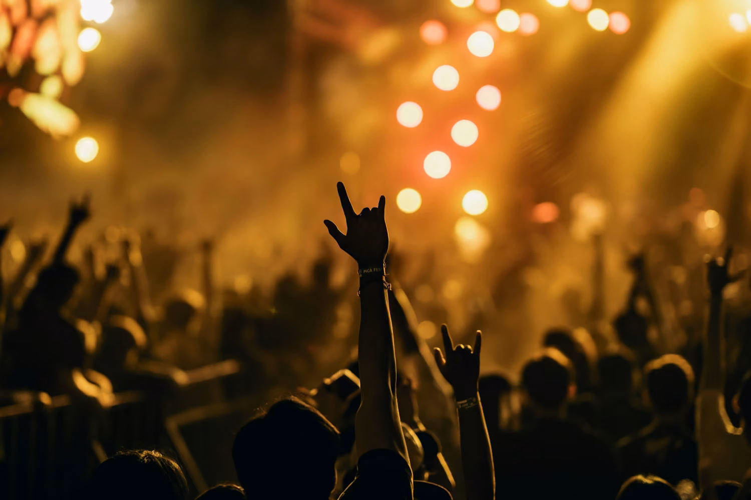 A crowd of people at a concert with their hands in the air
